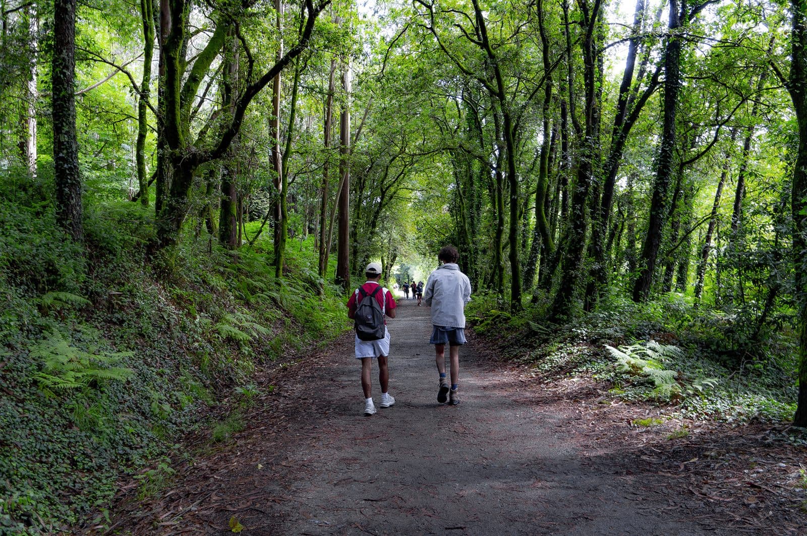 Imagen 2 de Camino de Santiago: días de ruta, amistad y silencio